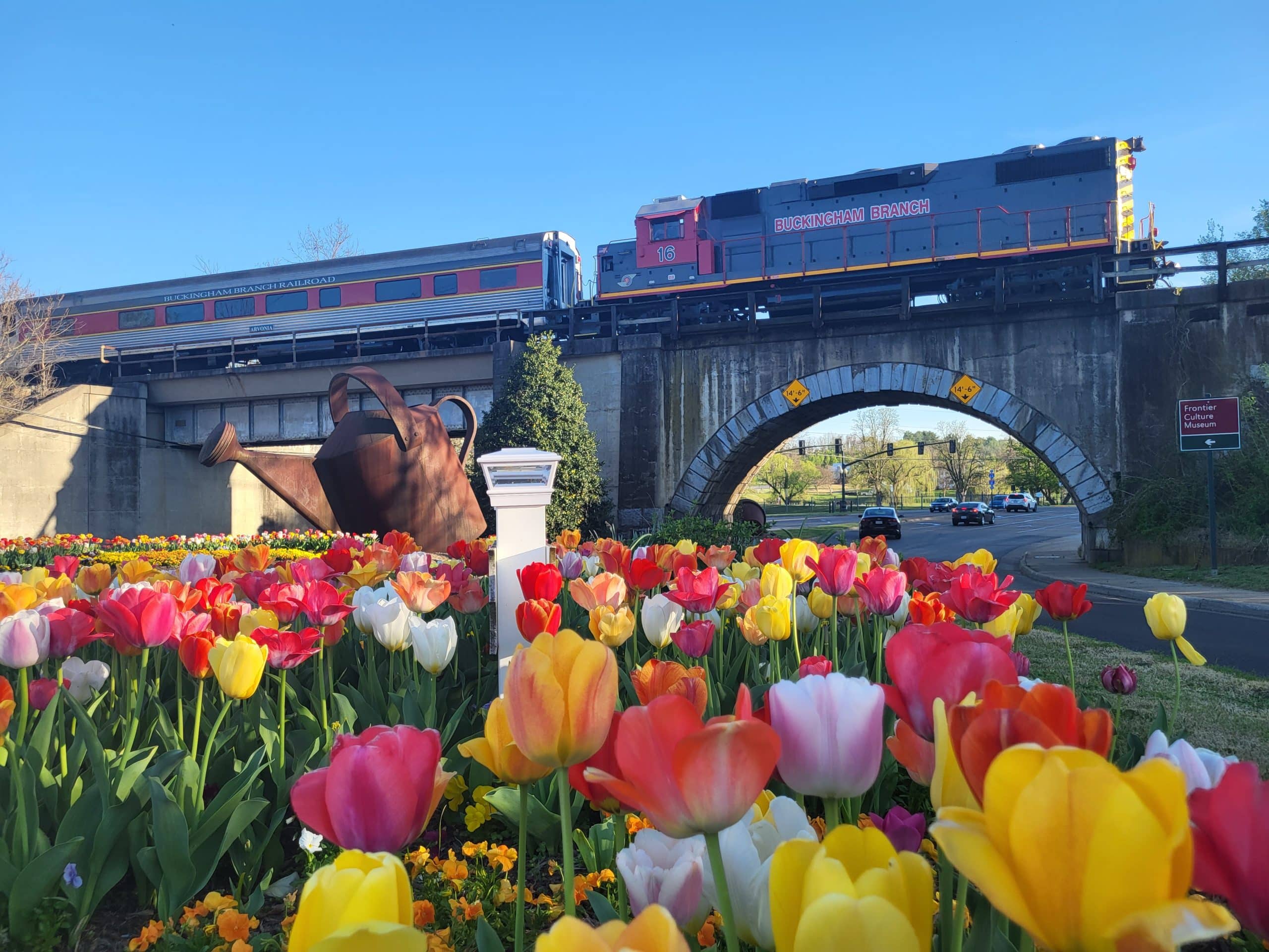Blue Ridge Flyer traveling through Virginia scenery